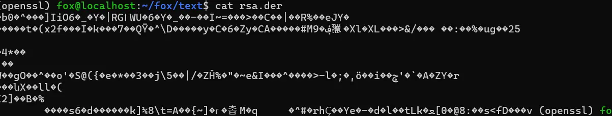 image-20250707044822133